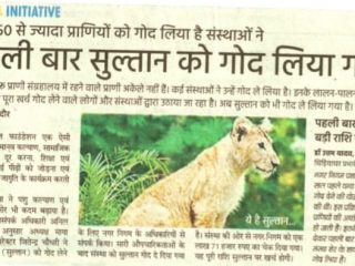WhatsApp Image JC Global Foundation has adopted a cub first time in thr state of Madhya Pradesh.
